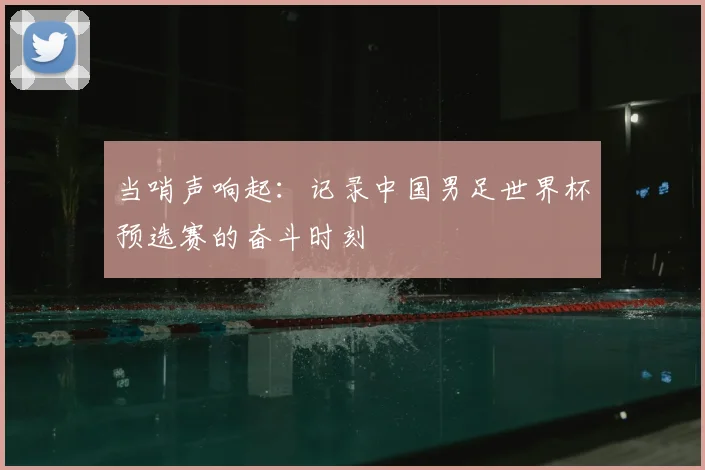 当哨声响起:记录中国男足世界杯预选赛的奋斗时刻