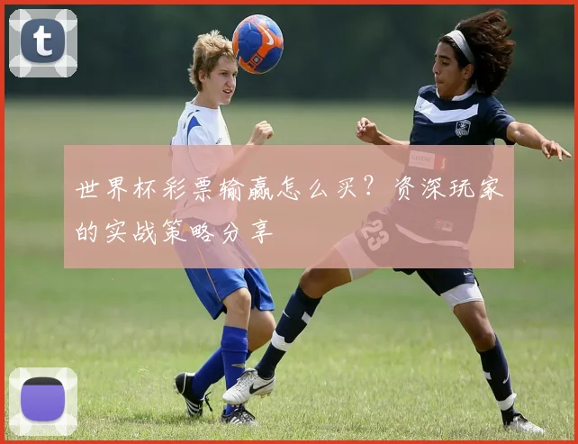 世界杯彩票输赢怎么买?资深玩家的实战策略分享